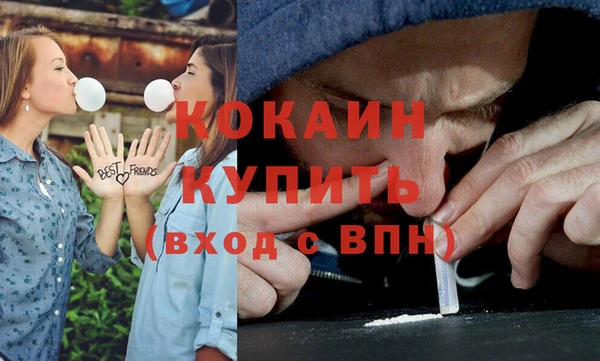 МДПВ Ельня