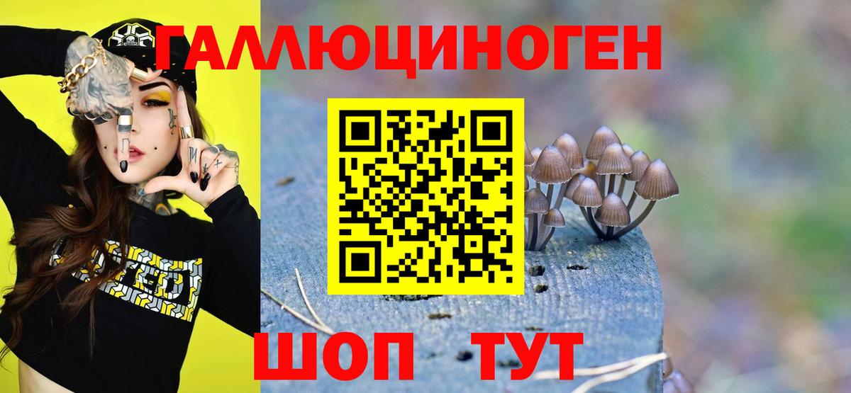 Карабулак  Псилоцибиновые грибы GOLDEN TEACHER  Псилоцибиновые грибы Psilocybine cubensis  Вход с VPN 