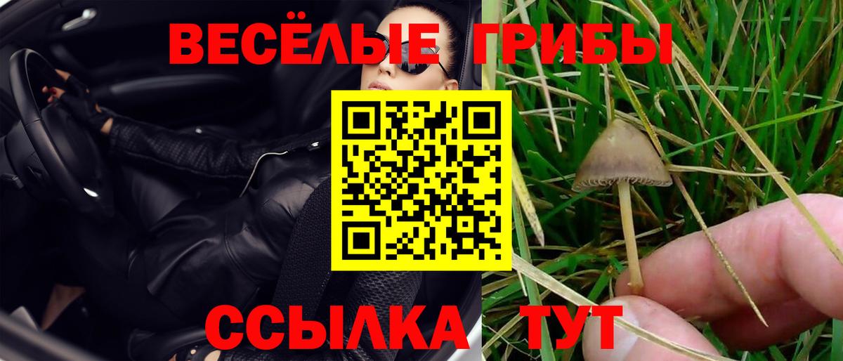 Псилоцибиновые грибы мухоморы Карабулак