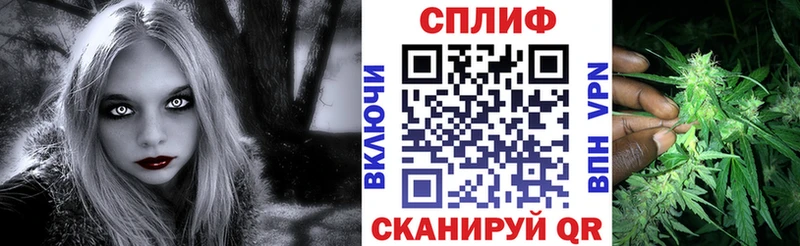 Бошки Шишки план Карабулак